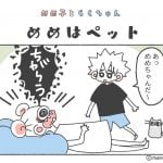 めめ子とらくちゃん｜めめはペット