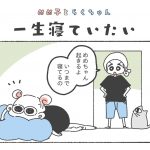 めめ子とらくちゃん｜一生寝ていたい