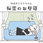 めめ子とらくちゃん｜秘密のお昼寝